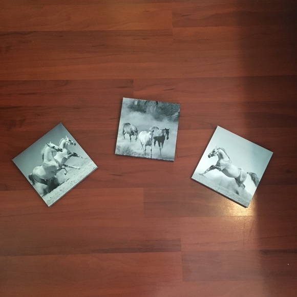 Horse canvas painting collage *5 pieces* - Picture 6 of 7